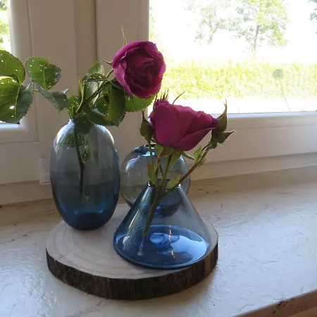 Daire Happyness Smarthome *