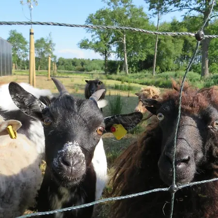 Daire Happyness Smarthome Aurich