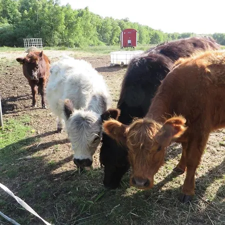 Happyness Smarthome Aurich