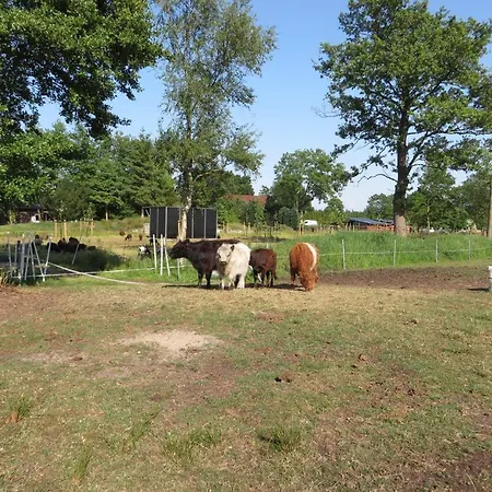 Daire Happyness Smarthome