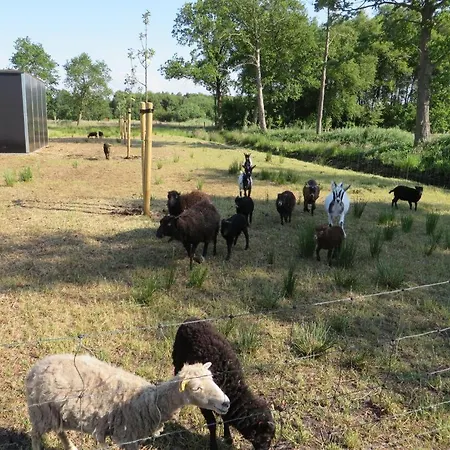 Happyness Smarthome *