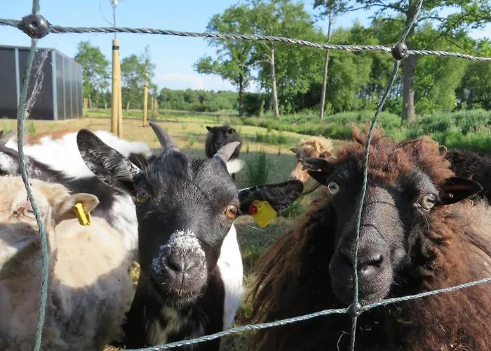 Apartamento Happyness Smarthome Aurich