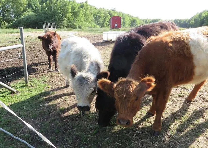 Happyness Smarthome Aurich