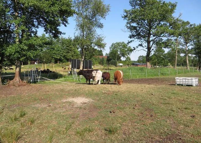 Apartamento Happyness Smarthome